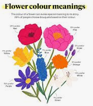 The Language of Flowers: What Different Flowers Symbolize and How to Choose the Right One for Any Occasion