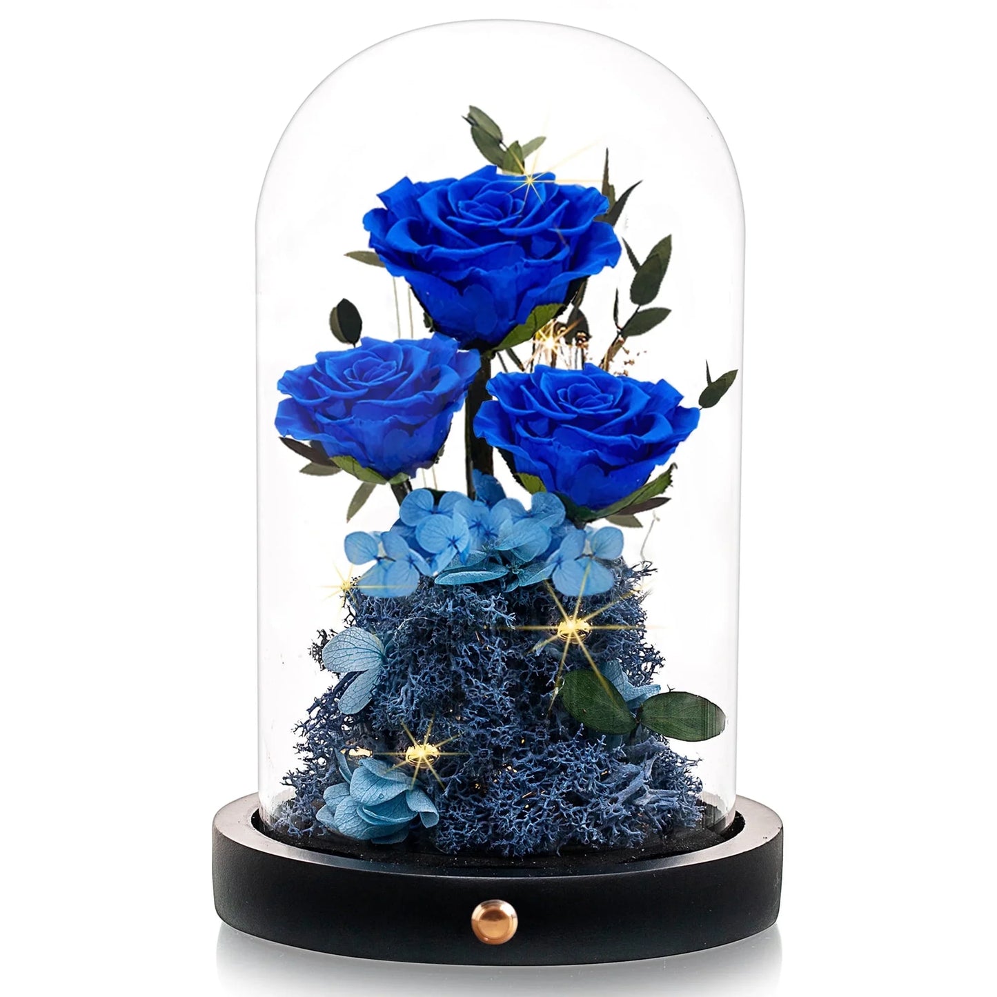 AGRUL Preserved Flowers Rose in Glass Dome,Roses Gifts for Mom,Valentines Day Gifts for Her