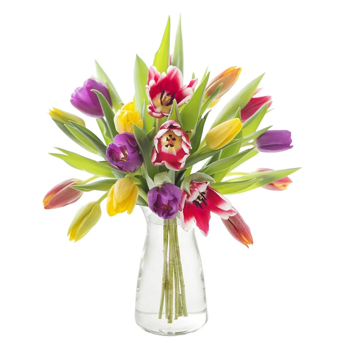 Bouquet of Fresh Rainbow of 10 Mixed Tulips in a Glass Vase, Next-Day Delivery