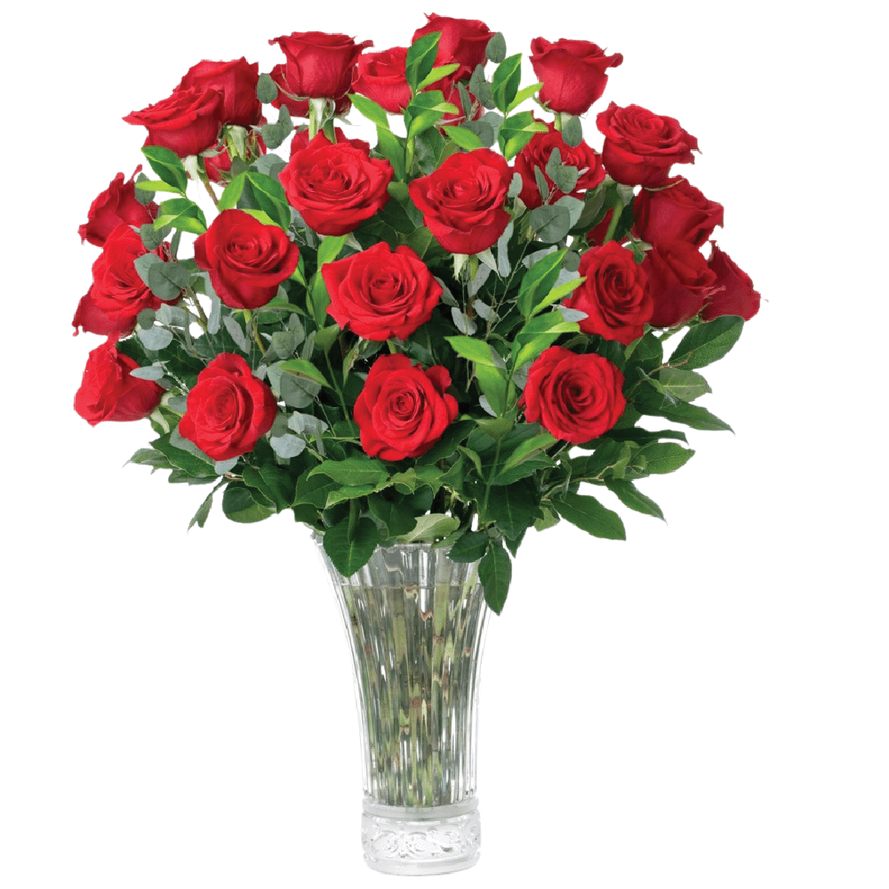 Farmhouse Flowers for Delivery - Fresh Cut Long Stem Roses Bouquet of Flowers Birthday Gifts for Women -Aquarossa Farms