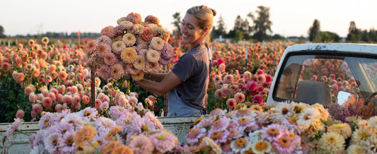 Meet the Floret Originals