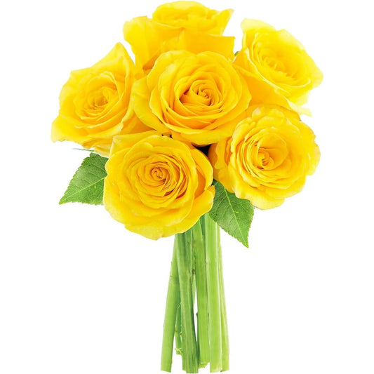 Bouquet of Fresh 6 Yellow Roses, Next-Day Delivery, Gift for All Occasions