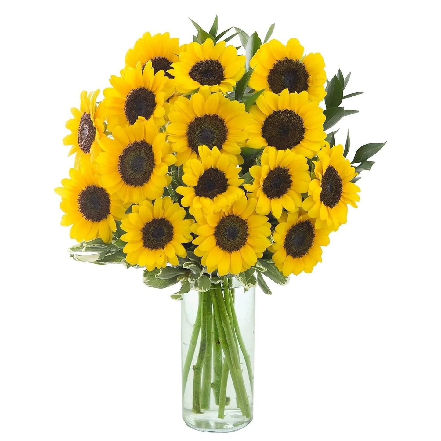 Bouquet of 10 Bright Sunflowers with Vase, Next-Day Delivery, Gift for Every Occasion.